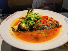 -坛宗剁椒鱼头(河西王府井店)