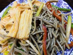 -老马家拉面(碧水花园东南)