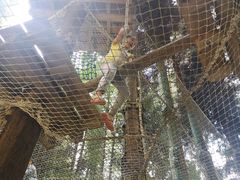 -武陵山森林公园