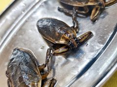 -潮记饭店(钟四商业街店)