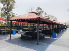 -春花秋色城市公园