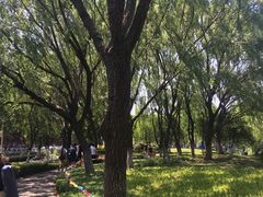 -昆山城市生态森林公园