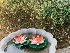 -芭东小镇温泉