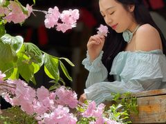 -铁炉农家菜馆