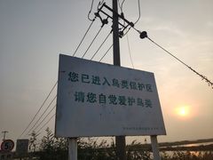 -大港湿地公园