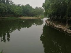 -大兴滨河森林公园