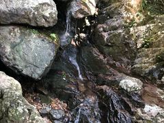 -山沟沟景区