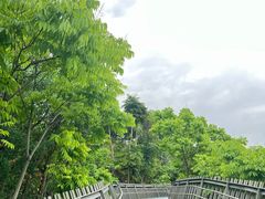 -福道