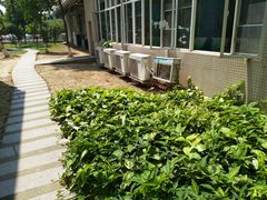 -广州市番禺中心医院(主院区)