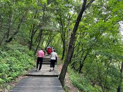 -帽儿山国家森林公园