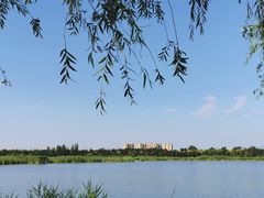 -绿堤公园