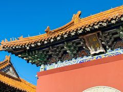 -北陵公园