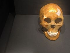 -上海崧泽遗址博物馆