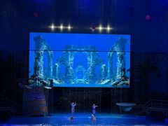 -海合安武汉极地海洋公园