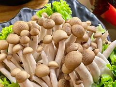 -湊湊火锅·茶憩(东城万达店)
