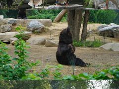 -北京野生动物园