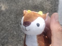 -首都电影院(金融街店 杜比全景声)