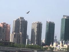 -北外滩滨江绿地