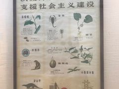 -广东中医药博物馆