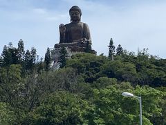 -德记山水豆腐花