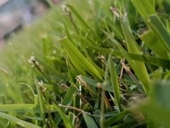 -黄龙魔方运动培训·棒球·橄榄球