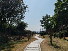 -深圳湾公园(南山区)