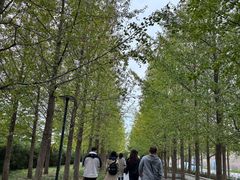 -中国人民抗日战争纪念雕塑园