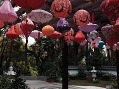 -深圳国际园林花卉博览园