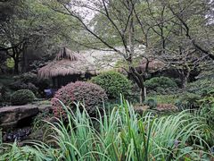 -中国茶叶博物馆(双峰馆区)