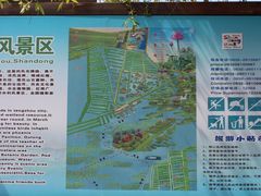 -微山湖红荷湿地景区