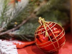 -卷心卷意·轻甜蛋糕(新光天地店)