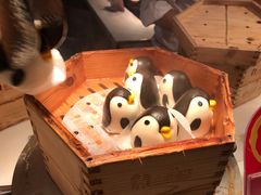 -帝企鹅自助餐厅•儿童岛•真企鹅(长隆企鹅酒店)