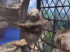 -合肥海洋世界