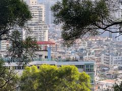 -仙岳公园