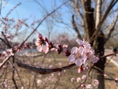 -北运河水利风景区