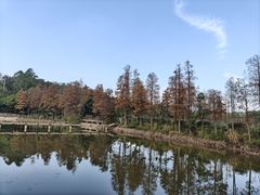 -东部华侨城