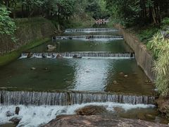 -广州白江湖森林公园