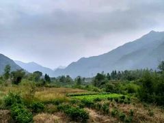 -石台牯牛降景区