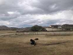 -纳帕海依拉草原