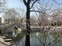-近春园遗址