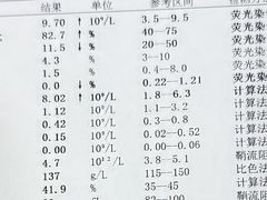 -清河半岛微风餐厅