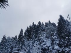 -武陵山森林公园