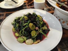 -陈记菜馆·非遗淮扬菜(东关街教场店)