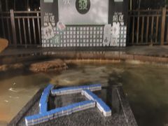 -天目湖涵田度假村
