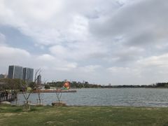 -桐乡凤凰湖
