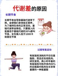 -Fundi张玉珊修身堂·indiba·BTL科技瘦身