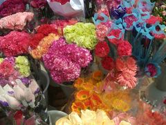 -三圣花乡旅游区