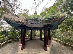 -江心屿景区