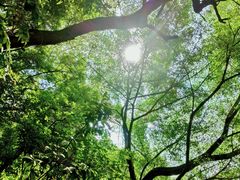 -云洞岩风景区