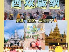 -西双版纳原始森林公园